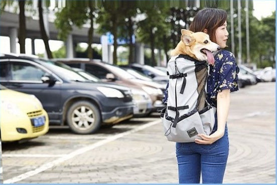 Ventilated And Breathable Pet Backpack - 𝓢𝓱𝓸𝓹𝓵𝓮𝓬𝔂