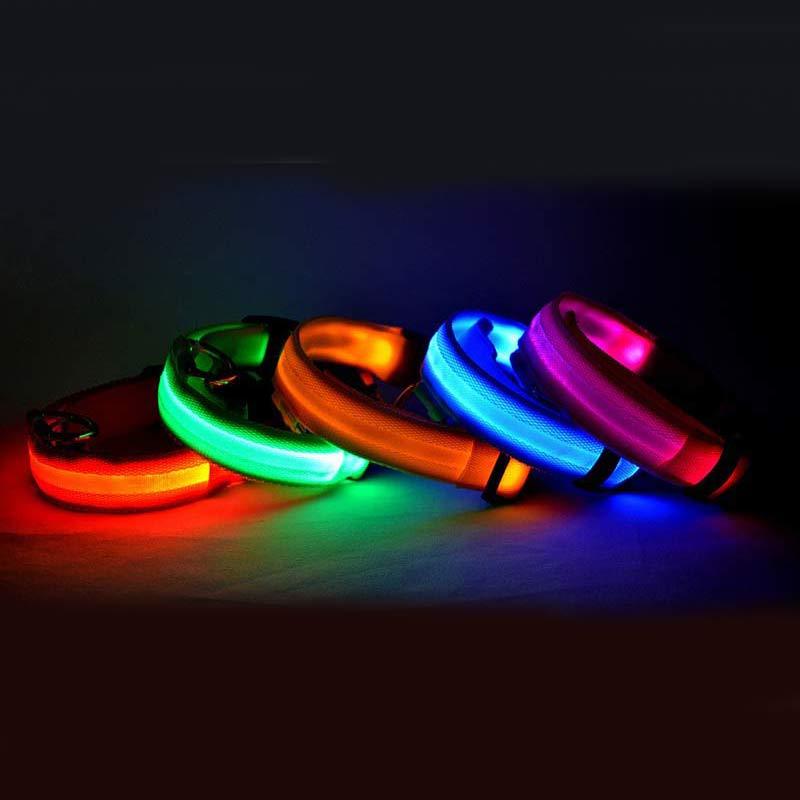Nylon LED Pet Dog Luminous Collar Night Safety Flashing Glow in Dark Dog Cat Leash Adjustable Pet Supplies - 𝓢𝓱𝓸𝓹𝓵𝓮𝓬𝔂