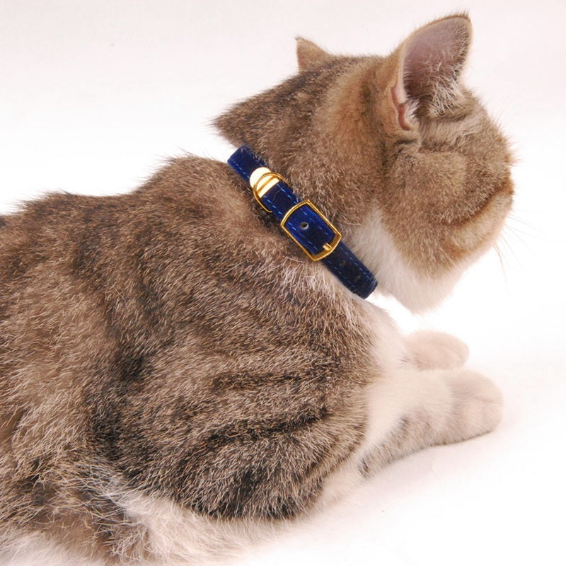 Pet supplies cat collar - 𝓢𝓱𝓸𝓹𝓵𝓮𝓬𝔂