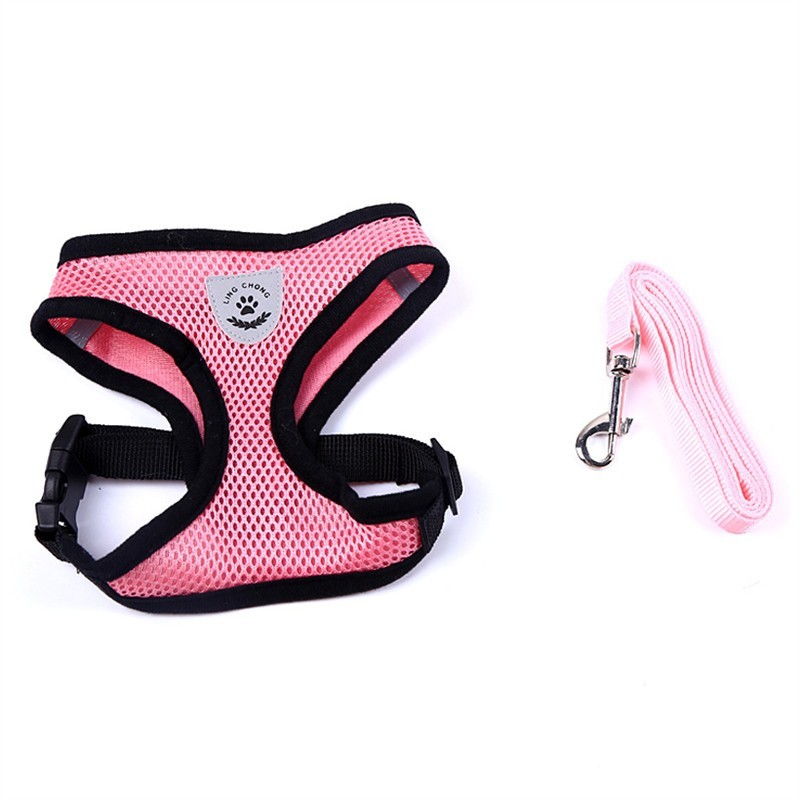 Pet Car Seat Belt Pet Leash - 𝓢𝓱𝓸𝓹𝓵𝓮𝓬𝔂