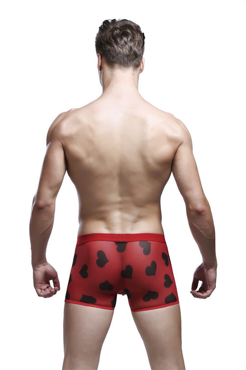 Printed boxer briefs - 𝓢𝓱𝓸𝓹𝓵𝓮𝓬𝔂
