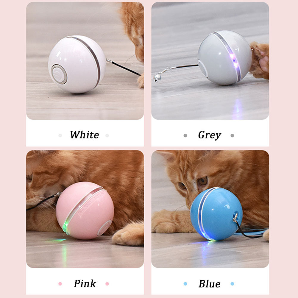 Colorful LED Laser Funny Cat Ball - 𝓢𝓱𝓸𝓹𝓵𝓮𝓬𝔂