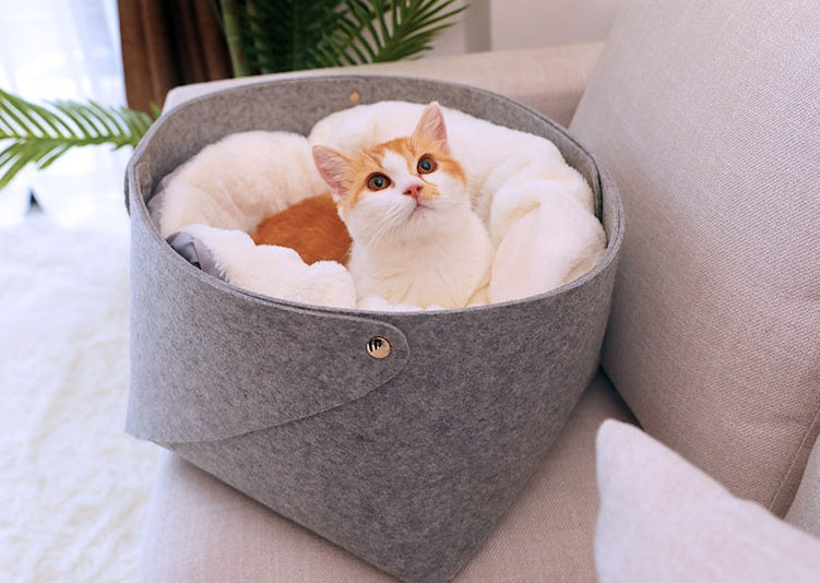 pet bed - 𝓢𝓱𝓸𝓹𝓵𝓮𝓬𝔂