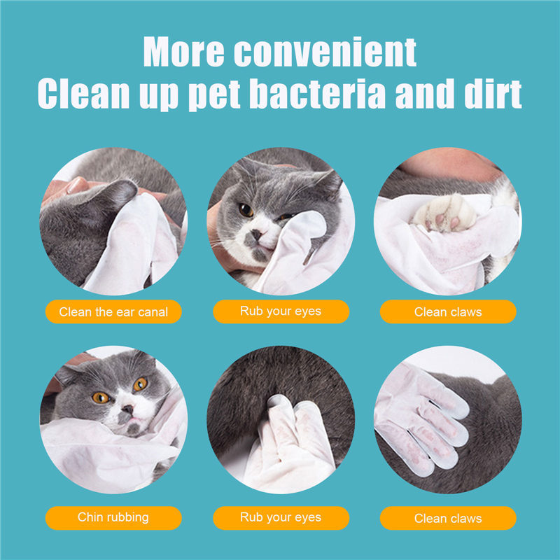 No-bath And Cat-free Non-woven Gloves - 𝓢𝓱𝓸𝓹𝓵𝓮𝓬𝔂