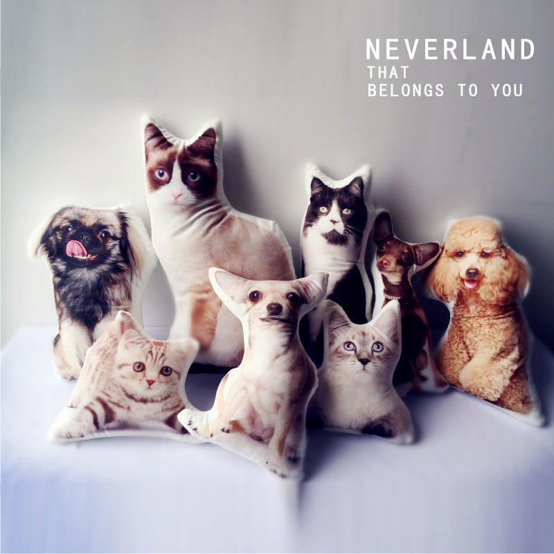 Customize Irregular Pillow Pet Pillow - 𝓢𝓱𝓸𝓹𝓵𝓮𝓬𝔂