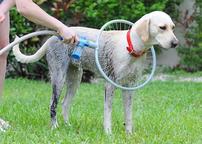 Fully automatic 360 degree pet supplies bath ring - 𝓢𝓱𝓸𝓹𝓵𝓮𝓬𝔂