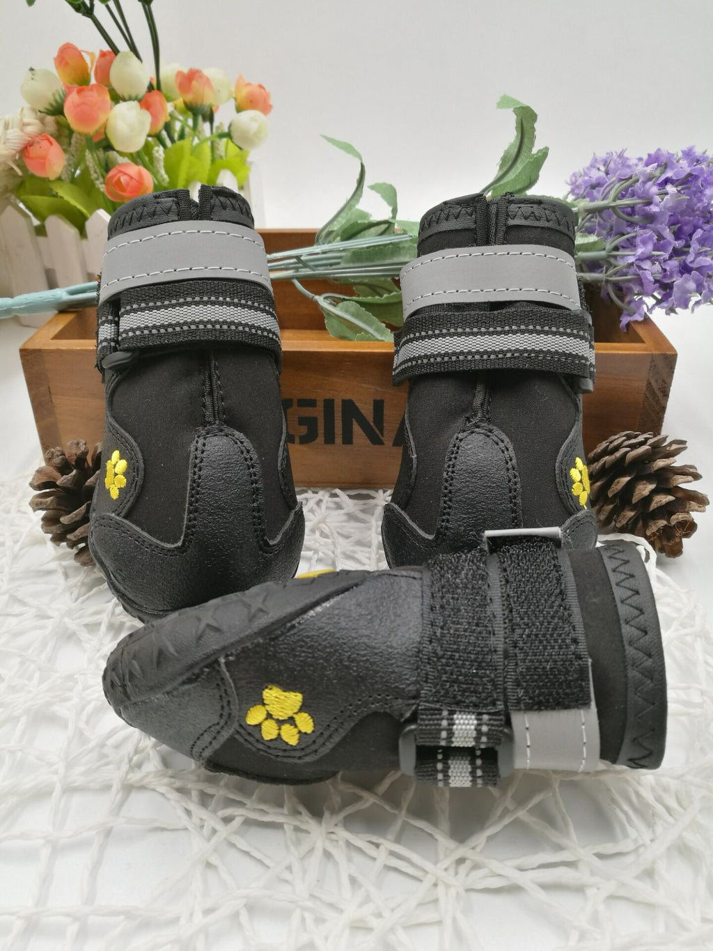 Pet shoes wear dog shoes - 𝓢𝓱𝓸𝓹𝓵𝓮𝓬𝔂