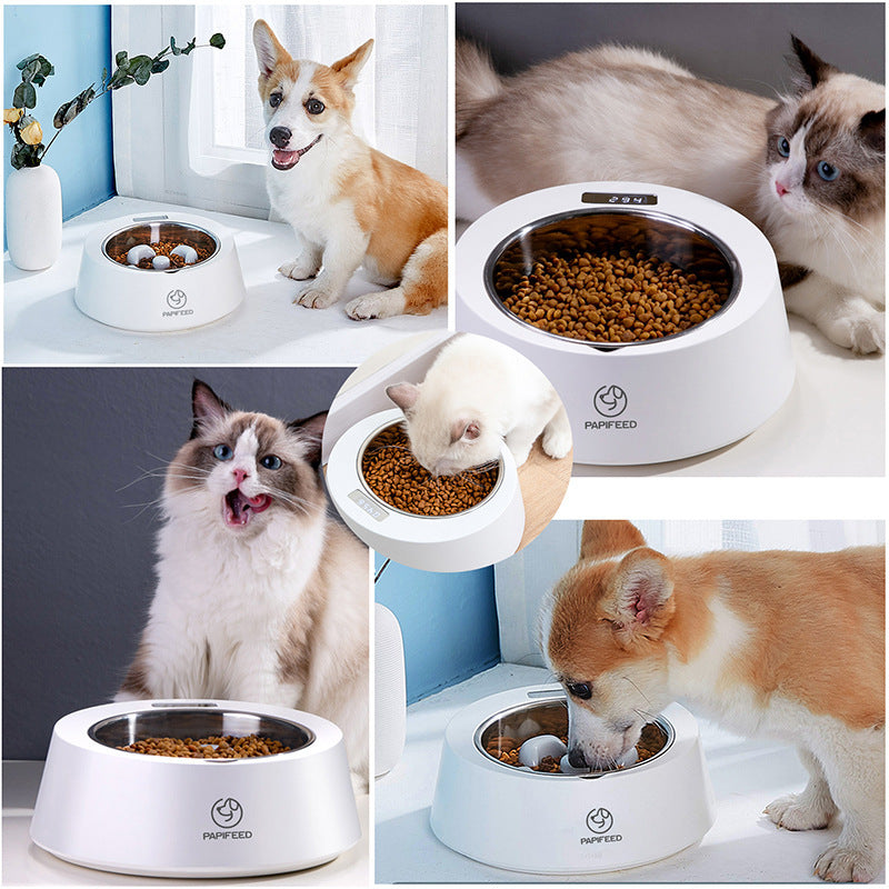 Pet Dog Bowl Slow Feeder Dog Food Bowl Smart Weighing Dog Slow Feeder Cat Pet Feeder - 𝓢𝓱𝓸𝓹𝓵𝓮𝓬𝔂