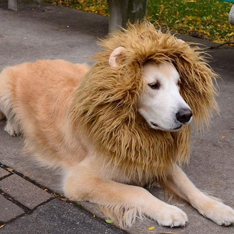 Cute Pet Cosplay Clothes Transfiguration Costume Lion Mane Winter Warm Wig Cat Large Dog Party Decoration With Ear Pet Apparel - 𝓢𝓱𝓸𝓹𝓵𝓮𝓬𝔂
