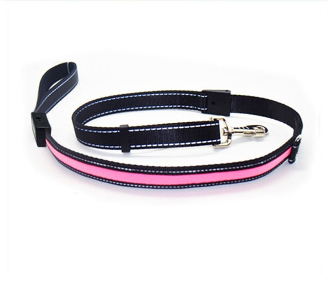 Fluorescent dog collar - 𝓢𝓱𝓸𝓹𝓵𝓮𝓬𝔂