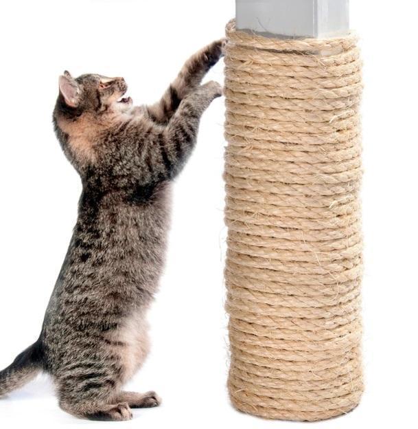 Cat Scratch Sisal Rope 6mm diam - 𝓢𝓱𝓸𝓹𝓵𝓮𝓬𝔂