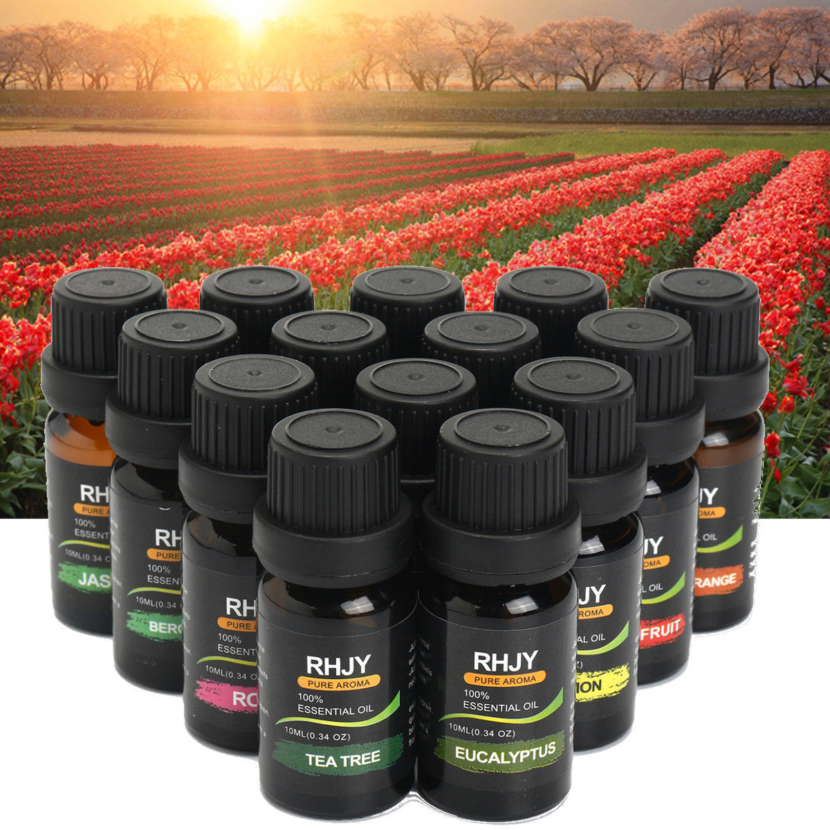 Diffusers Essential Oil Set - 𝓢𝓱𝓸𝓹𝓵𝓮𝓬𝔂