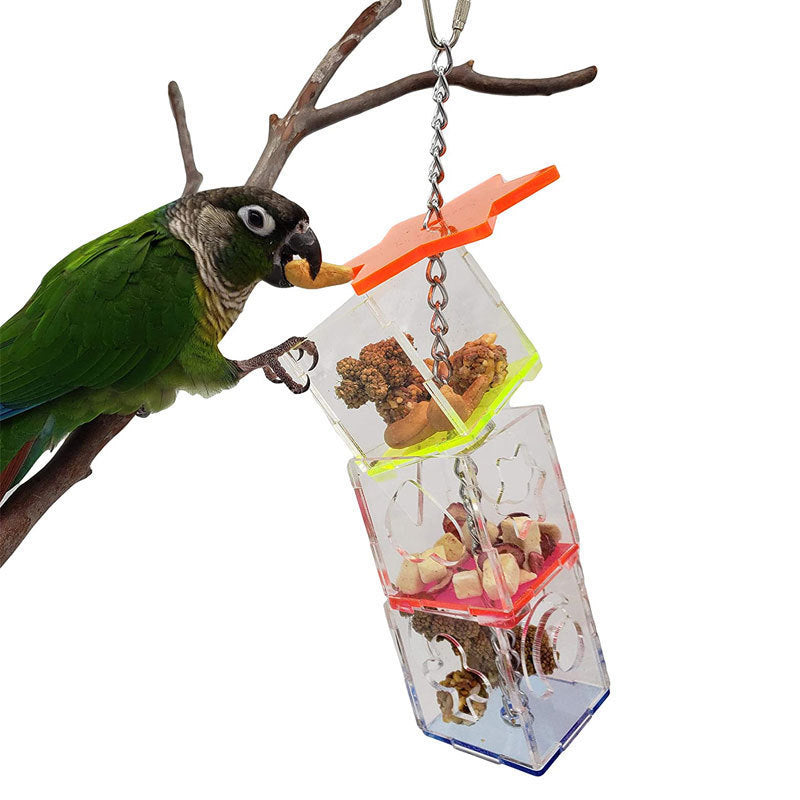 Bird Foraging Device Acrylic Parrot Educational Toy Food Container Fruit Nuts Bite Parrot Toys