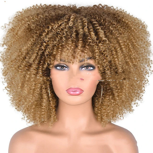 Small Curly Hair Rose Mesh Synthetic Headgear - 𝓢𝓱𝓸𝓹𝓵𝓮𝓬𝔂