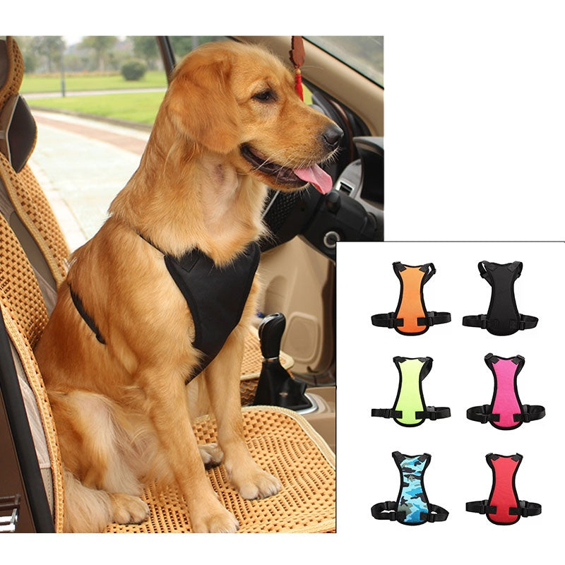 Car seat belts for pets - 𝓢𝓱𝓸𝓹𝓵𝓮𝓬𝔂