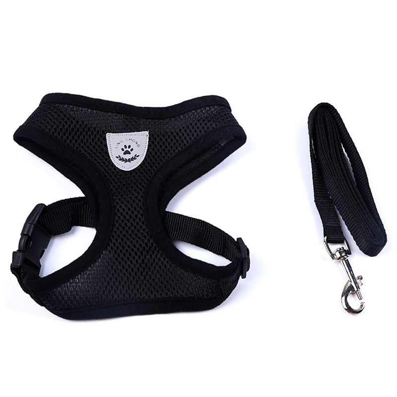 Pet Car Seat Belt Pet Leash - 𝓢𝓱𝓸𝓹𝓵𝓮𝓬𝔂