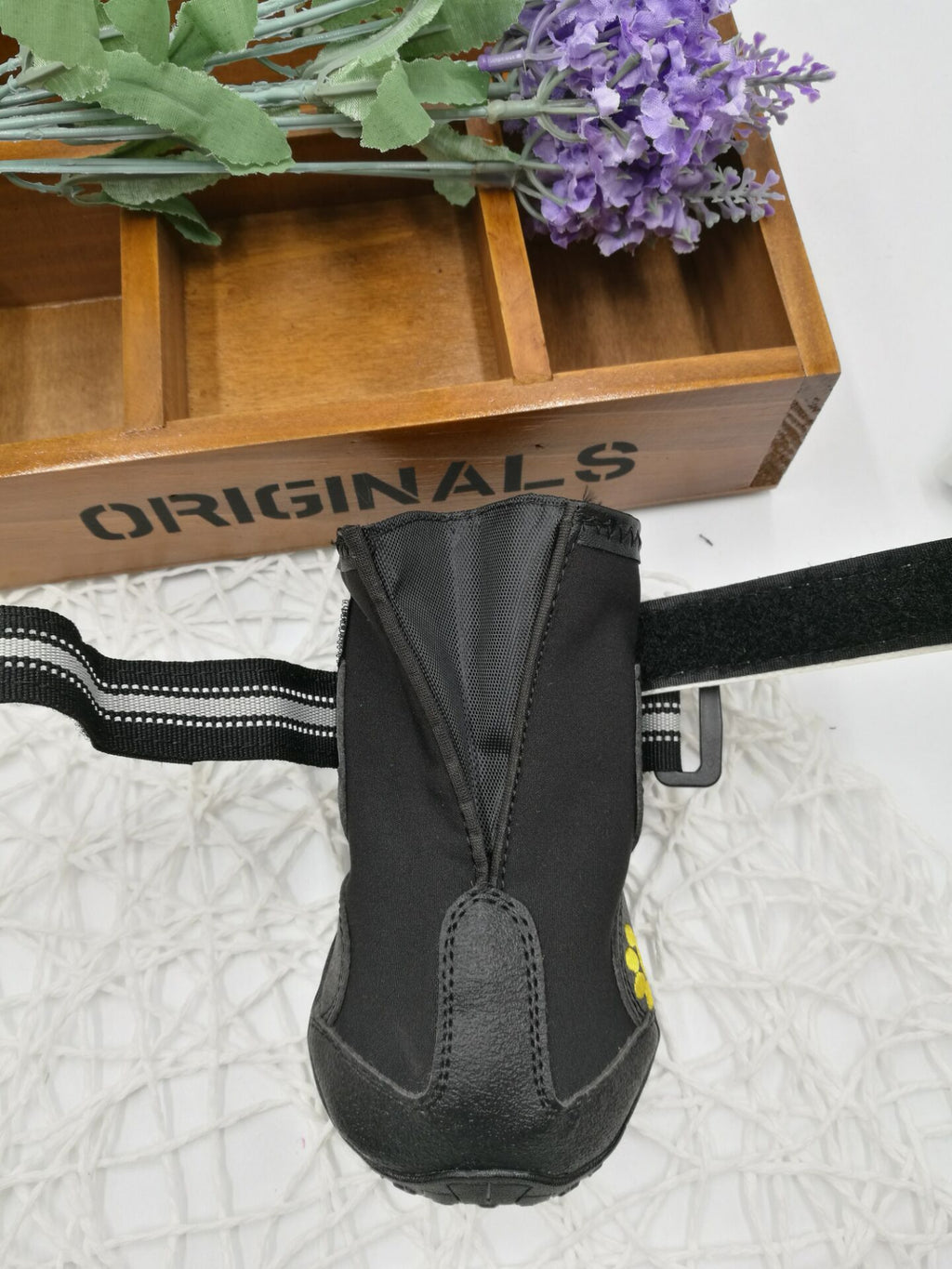 Pet shoes wear dog shoes - 𝓢𝓱𝓸𝓹𝓵𝓮𝓬𝔂