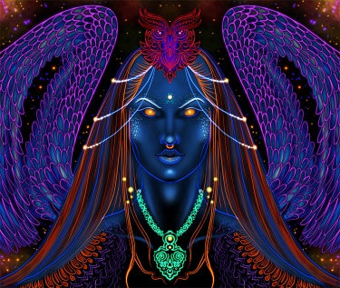 TAP185 - 𝓢𝓱𝓸𝓹𝓵𝓮𝓬𝔂