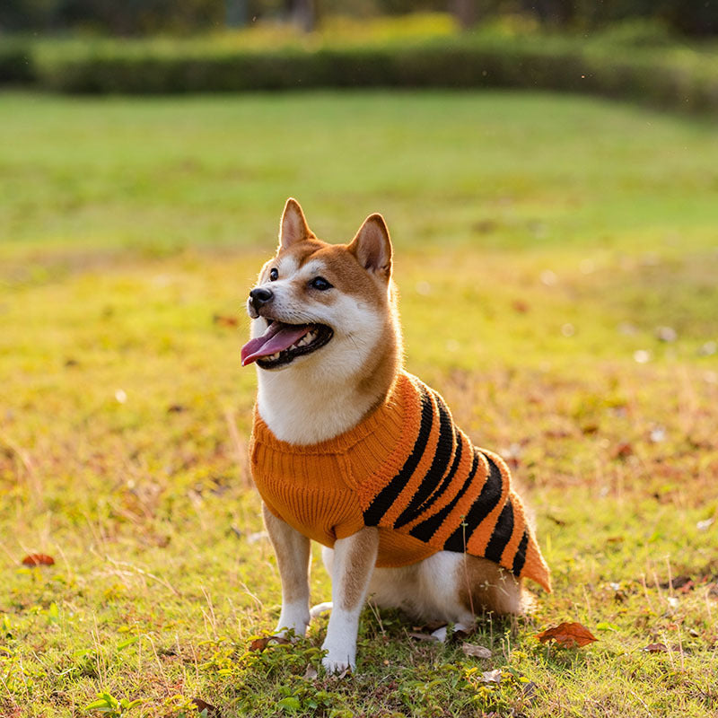 Halloween Dog Sweaters Pet Costume Teddy Warm Leisure Sweater Cosplay Clothes For Dogs Pets Outfits - 𝓢𝓱𝓸𝓹𝓵𝓮𝓬𝔂
