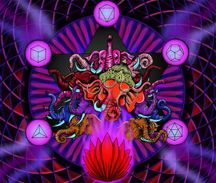 TAP185 - 𝓢𝓱𝓸𝓹𝓵𝓮𝓬𝔂