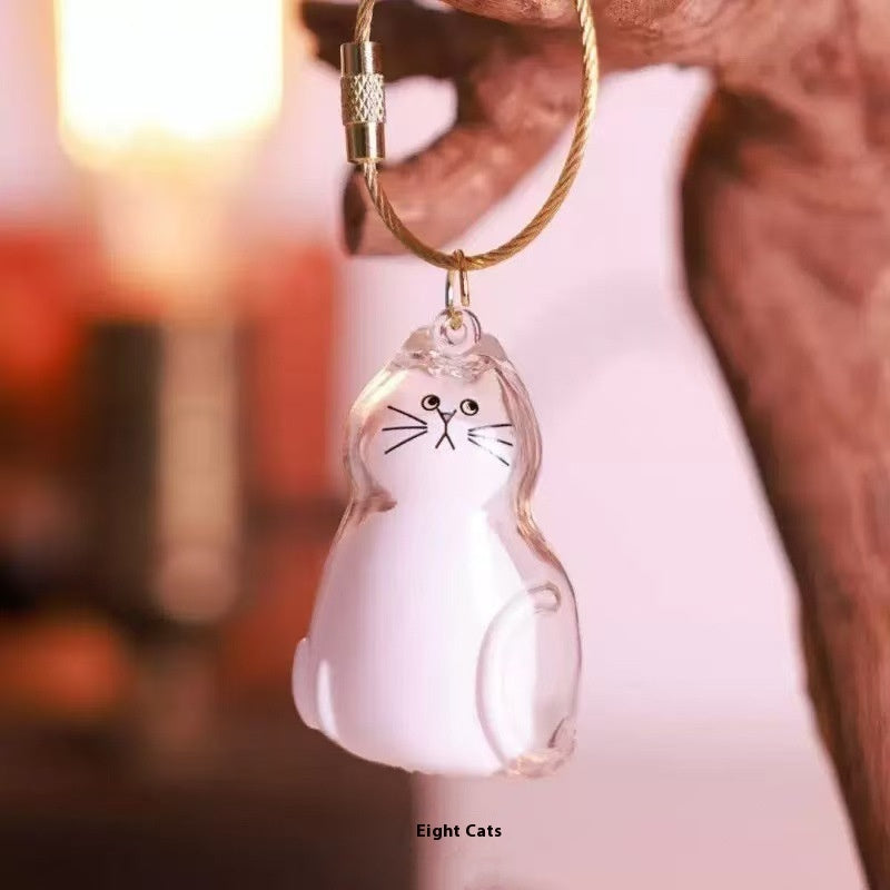 Transparent Cat Hair Storage Box Pendant Keychain Ornaments