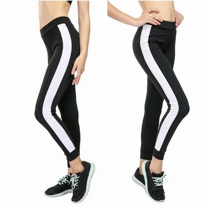 Women's Fashion Matching Color Fit Sport Leggings - 𝓢𝓱𝓸𝓹𝓵𝓮𝓬𝔂