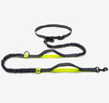 Amazon direct pet supplies multi-function running reflective pull dog leash double elastic dog leash traction - 𝓢𝓱𝓸𝓹𝓵𝓮𝓬𝔂
