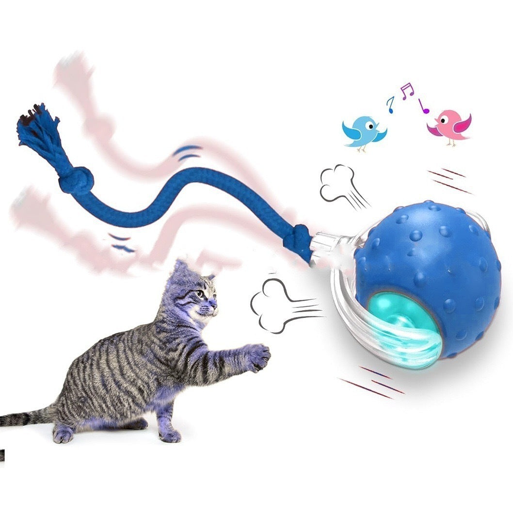 Interactive Cat Toy Ball Super Drive Cat Rolling Ball - 𝓢𝓱𝓸𝓹𝓵𝓮𝓬𝔂