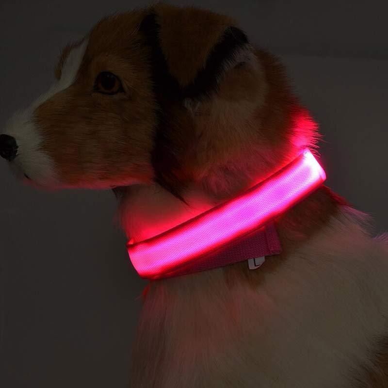 Nylon LED Pet Dog Luminous Collar Night Safety Flashing Glow in Dark Dog Cat Leash Adjustable Pet Supplies - 𝓢𝓱𝓸𝓹𝓵𝓮𝓬𝔂