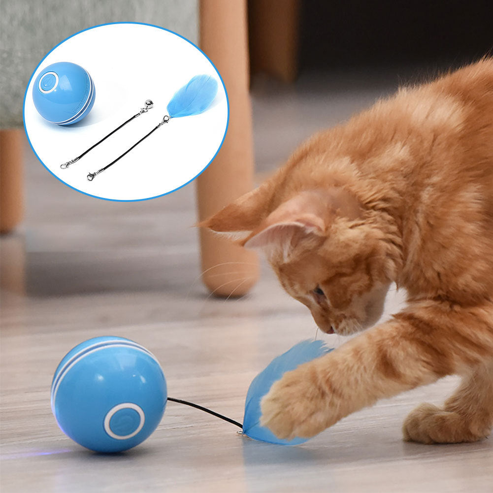 Colorful LED Laser Funny Cat Ball - 𝓢𝓱𝓸𝓹𝓵𝓮𝓬𝔂