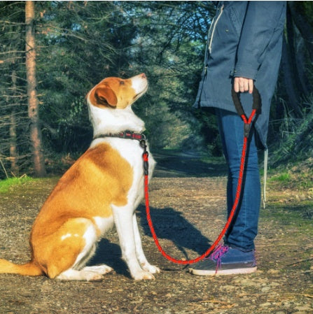 Reflective Dog Leash Nylon Pet Dog Leash Rope For Small Medium Large Dogs Walking Training Pet Suppiles - 𝓢𝓱𝓸𝓹𝓵𝓮𝓬𝔂