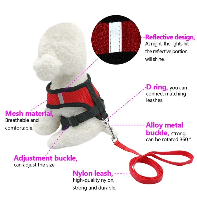 Pet Car Seat Belt Pet Leash - 𝓢𝓱𝓸𝓹𝓵𝓮𝓬𝔂