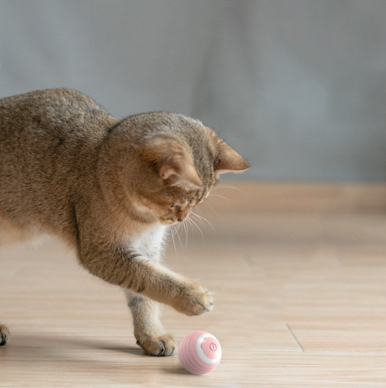 Automatic Moving Bouncing Rolling Ball Smart Cat Toy Ball Self-Moving Kitten Toy For Indoor Cat Kitten - 𝓢𝓱𝓸𝓹𝓵𝓮𝓬𝔂