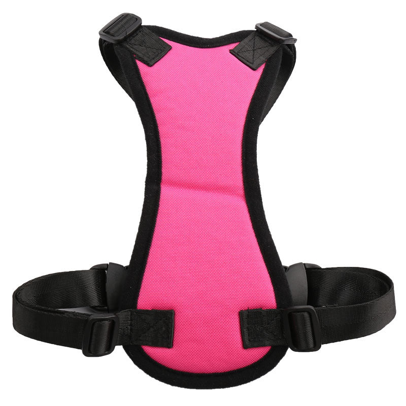 Car seat belts for pets - 𝓢𝓱𝓸𝓹𝓵𝓮𝓬𝔂