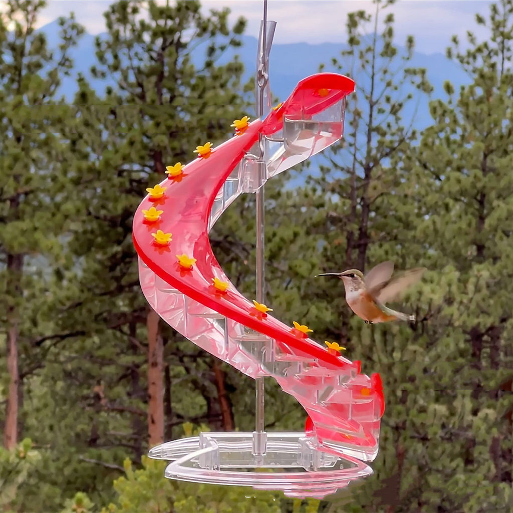 Climbing Ladder Spiral Hummingbird Feeder - 𝓢𝓱𝓸𝓹𝓵𝓮𝓬𝔂