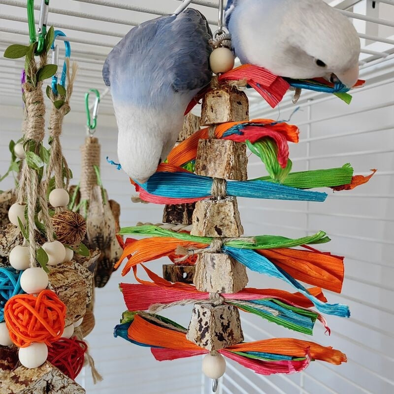 Parrot Toys Parrot Bite Supplies Bird Stand Rod Bird Cage - 𝓢𝓱𝓸𝓹𝓵𝓮𝓬𝔂