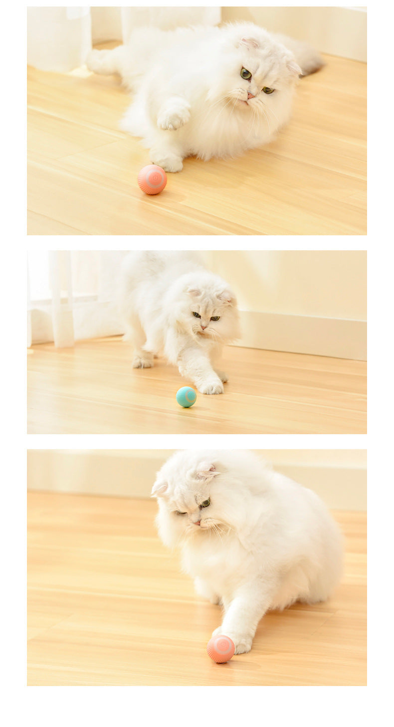 Cat Gravity Intelligent Rolling Ball Tease Toy Pet Automatic Rotating Ball - 𝓢𝓱𝓸𝓹𝓵𝓮𝓬𝔂