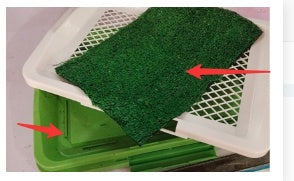 Dog Cleaning Tool Grid Lawn Flat Toilet Dog Potty - 𝓢𝓱𝓸𝓹𝓵𝓮𝓬𝔂