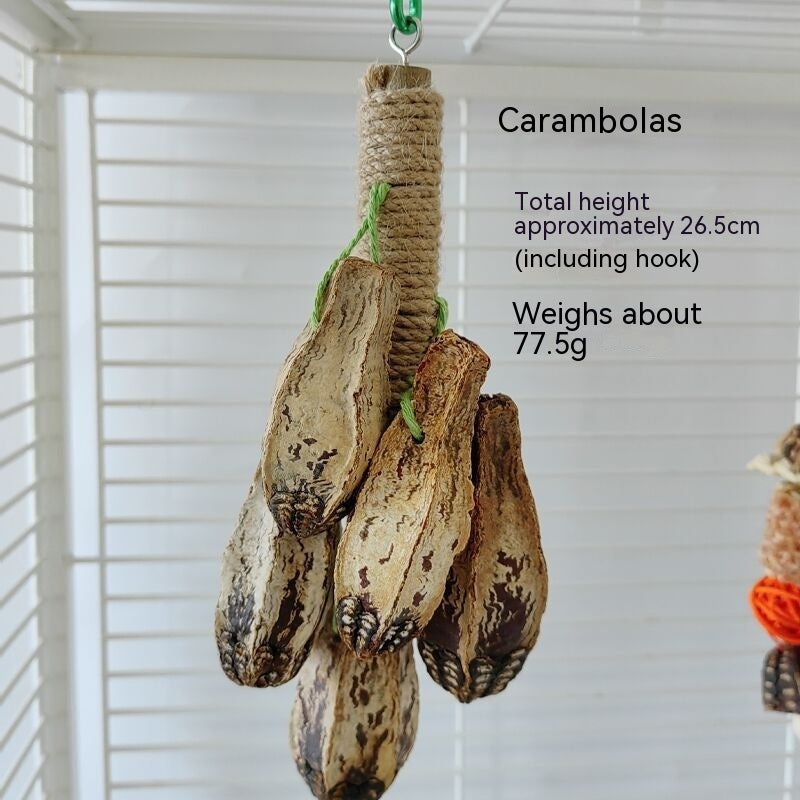 Parrot Toys Parrot Bite Supplies Bird Stand Rod Bird Cage - 𝓢𝓱𝓸𝓹𝓵𝓮𝓬𝔂