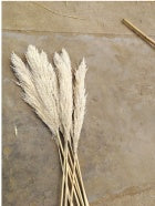Reed dried flower bouquet - 𝓢𝓱𝓸𝓹𝓵𝓮𝓬𝔂