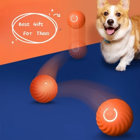 Pet Dog Rubber Ball Toys For Dogs Resistance To Bite Dog Chew Toys Puppy Pets Dogs Training Products - 𝓢𝓱𝓸𝓹𝓵𝓮𝓬𝔂