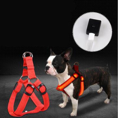 Pet Products LED Luminous Dog Chest Strap Large Dog Luminous Dog Leash - 𝓢𝓱𝓸𝓹𝓵𝓮𝓬𝔂