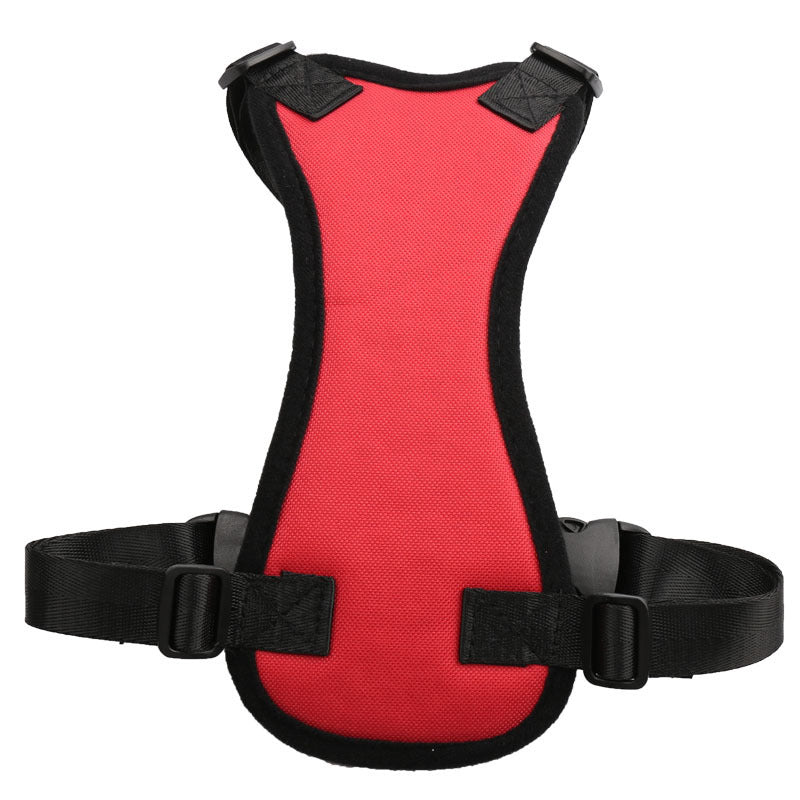 Car seat belts for pets - 𝓢𝓱𝓸𝓹𝓵𝓮𝓬𝔂