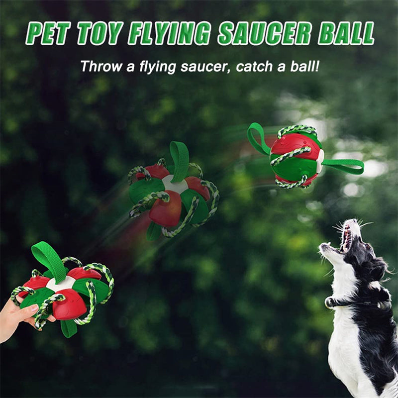Interactive Dog Football Soccer Ball With Tabs Inflated Training Toy Outdoor Border Collie Balls Pet Products - 𝓢𝓱𝓸𝓹𝓵𝓮𝓬𝔂