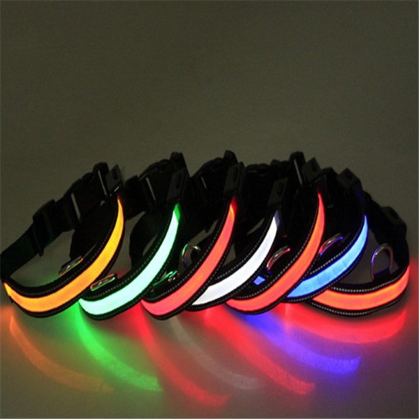 Fluorescent dog collar - 𝓢𝓱𝓸𝓹𝓵𝓮𝓬𝔂