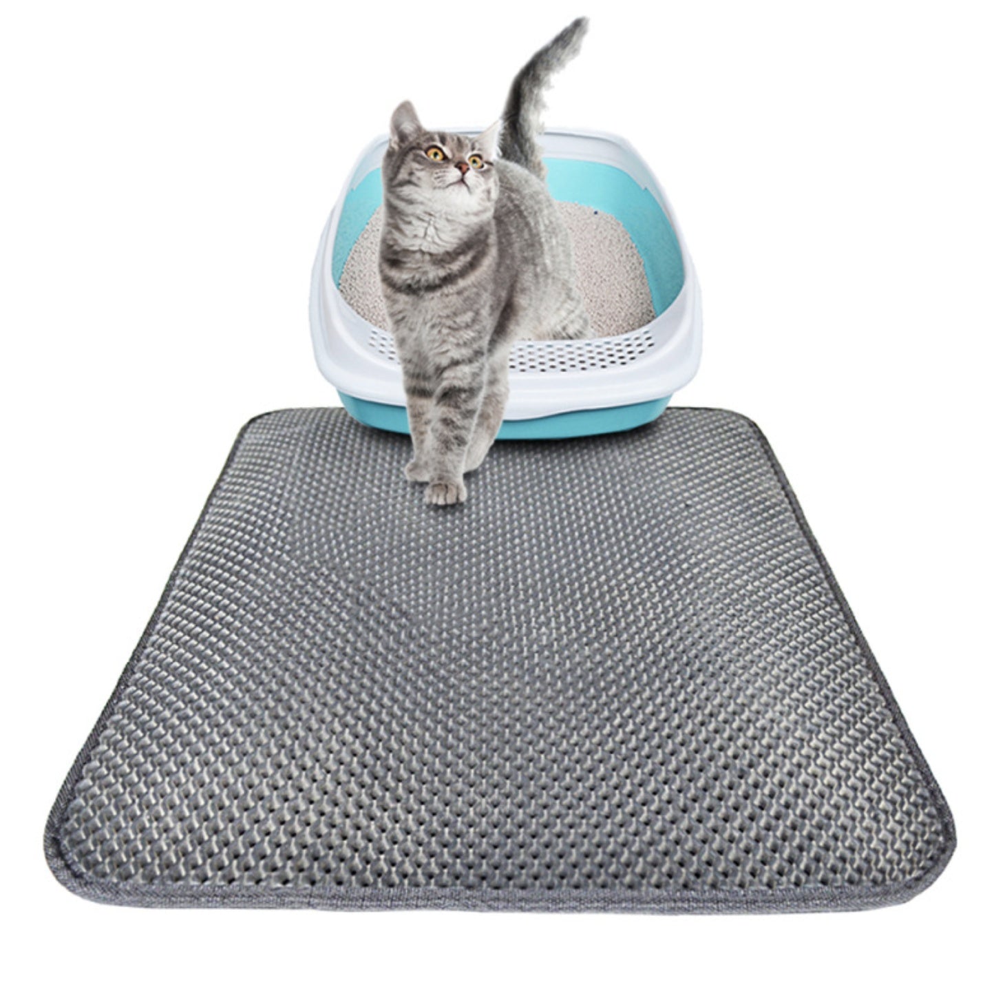 Double Layer Litter Cat Bed Pads Pet Cat Litter Mat Trapping Pets Litter Box Mat Pet Product Bed For Cats House Clean Mat - 𝓢𝓱𝓸𝓹𝓵𝓮𝓬𝔂