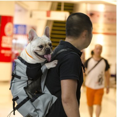 Ventilated And Breathable Pet Backpack - 𝓢𝓱𝓸𝓹𝓵𝓮𝓬𝔂