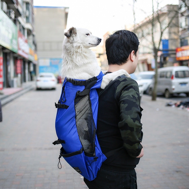 Pet Dog Carrier Bag Carrier For Dogs Backpack Out Double Shoulder Portable Travel Backpack Outdoor Dog Carrier Bag Travel - 𝓢𝓱𝓸𝓹𝓵𝓮𝓬𝔂