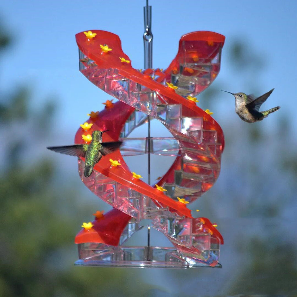 Climbing Ladder Spiral Hummingbird Feeder - 𝓢𝓱𝓸𝓹𝓵𝓮𝓬𝔂