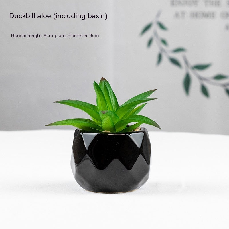 Artificial Green Plant Succulent Artificial Plant Home Furnishings - 𝓢𝓱𝓸𝓹𝓵𝓮𝓬𝔂